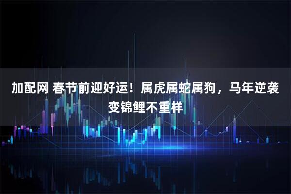 加配网 春节前迎好运！属虎属蛇属狗，马年逆袭变锦鲤不重样